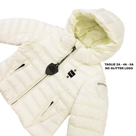BLAUER 26WBLGC02295