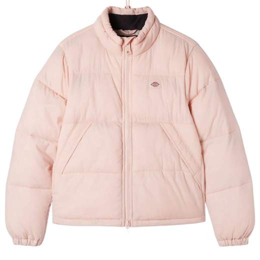 Dickies DK0A4XP3C501