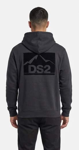 DS2 FELPA - F62A343