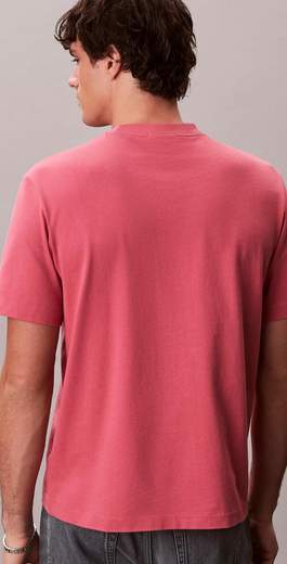 CALVIN KLEIN T-SHIRT MONOGRAM   - LV04RC275G