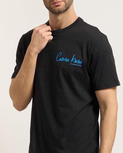 CALVIN KLEIN T-SHIRT UOMO   - LV14RF802G