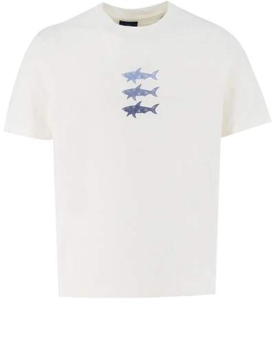 PAUL AND SHARK T-SHIRT - 25411005