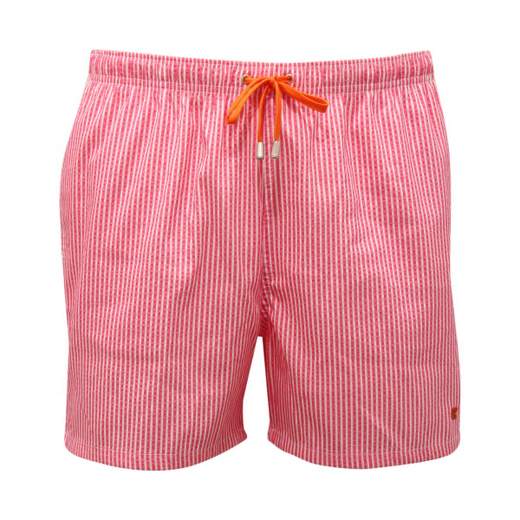 GALLO COSTUME - AP513877