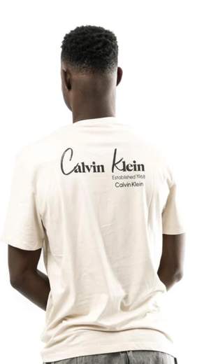 CALVIN KLEIN T-SHIRT UOMO   - LV14RF802G