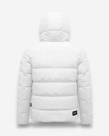 DS2 F62A104