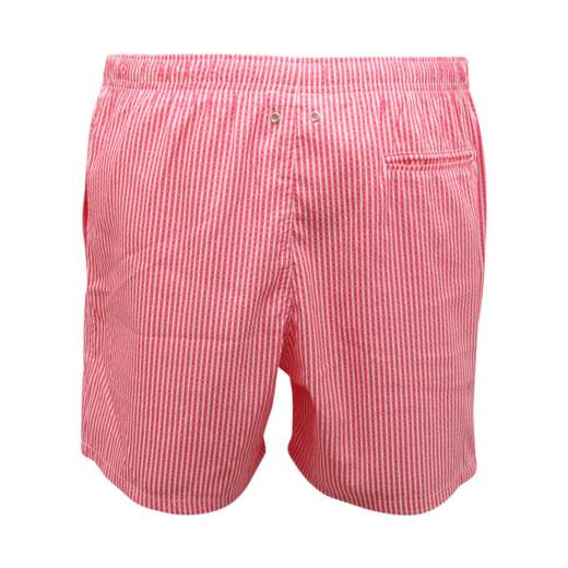 GALLO COSTUME - AP513877