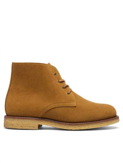 BERWICK POLACCO - 662