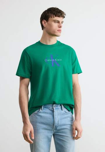 CALVIN KLEIN T-SHIRT - LV04RB862G