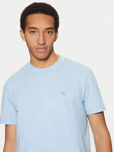 CALVIN KLEIN T-SHIRT - J30J326683
