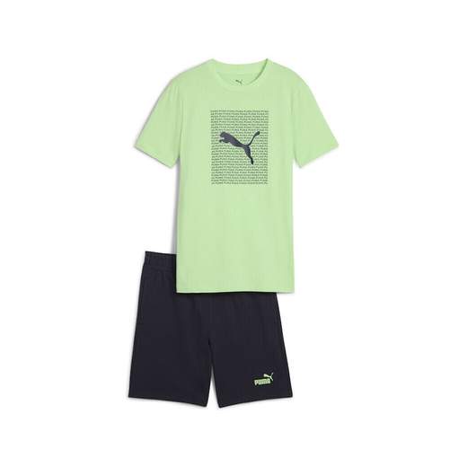 Puma 686300