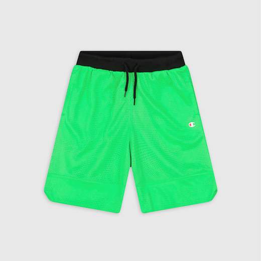 Champion 306334