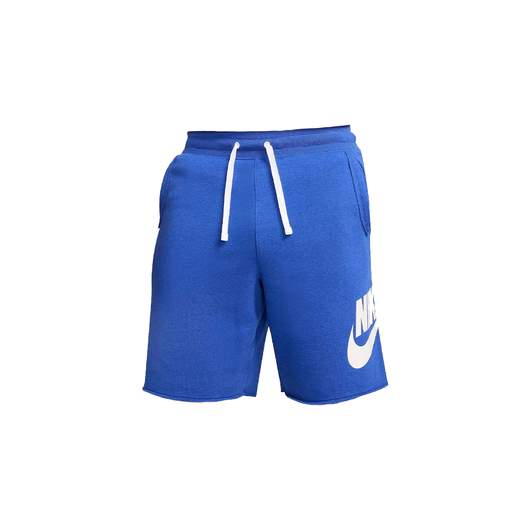 Nike DX0502-480