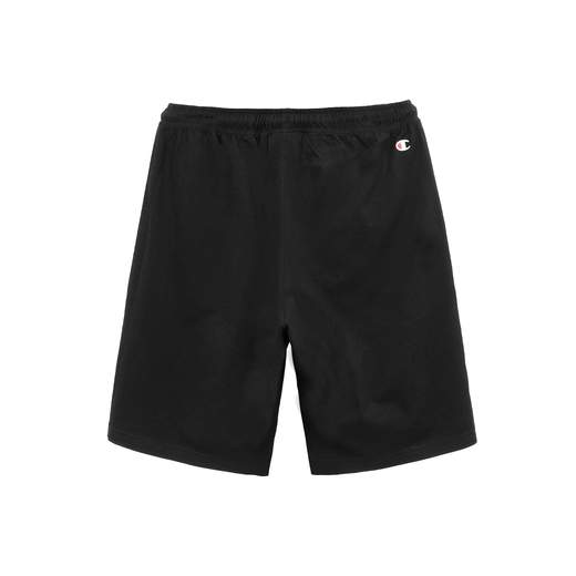 Champion 305197