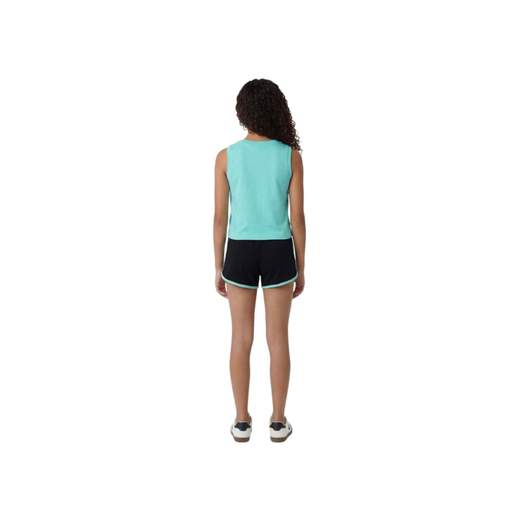 Champion 405378