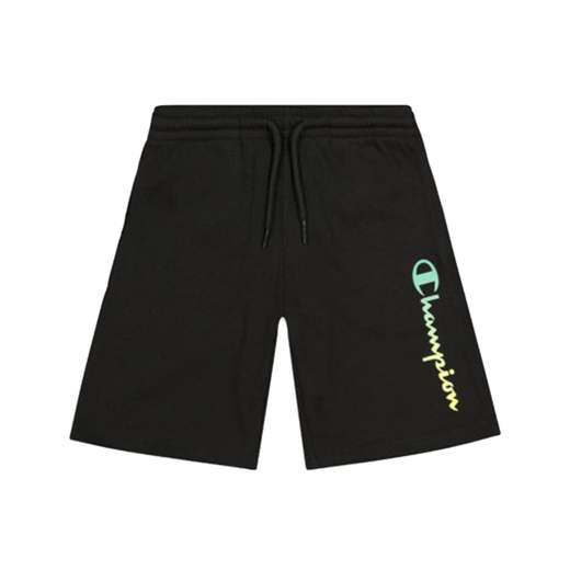 Champion 305654