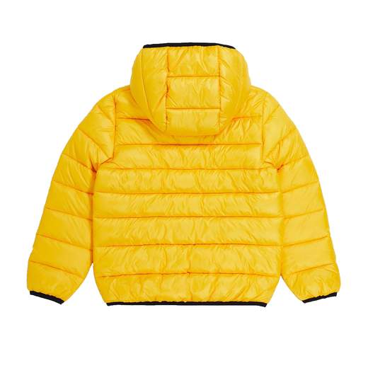 Champion 306568