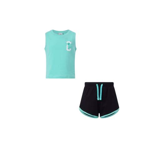 Champion 405378