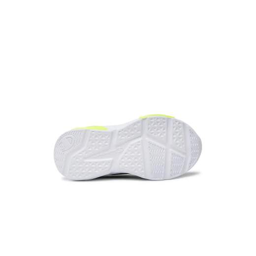 Champion Wave B TD Bimbo S32130