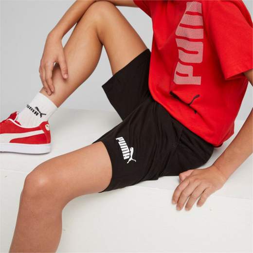 Puma 673284