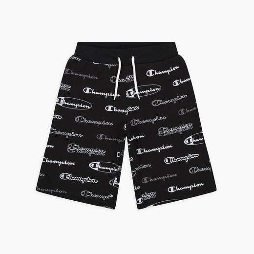 Champion 305933