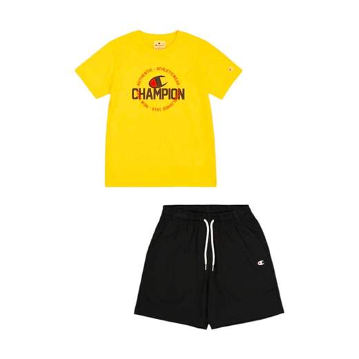 Champion 306991