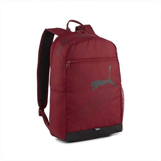 Puma 079952