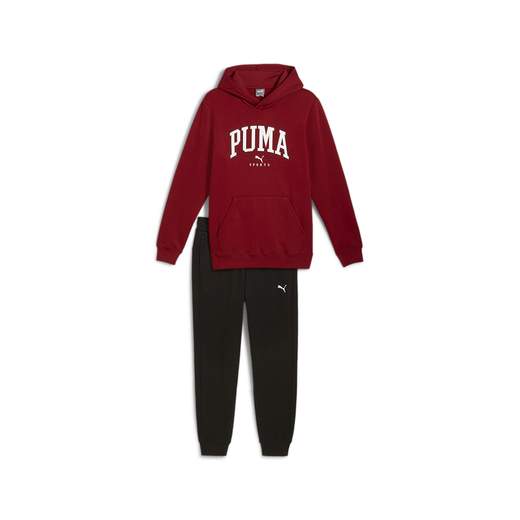 Puma 683817