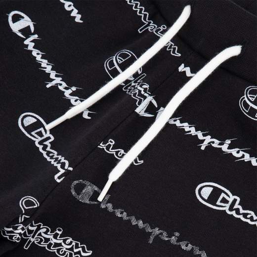 Champion 305933
