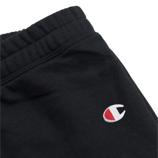 Champion 307051