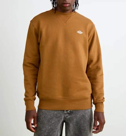 Dickies Felpa Dk0a4y6q