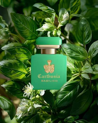 CARTHUSIA - I PROFUMI DI CAPRI NTS050BS