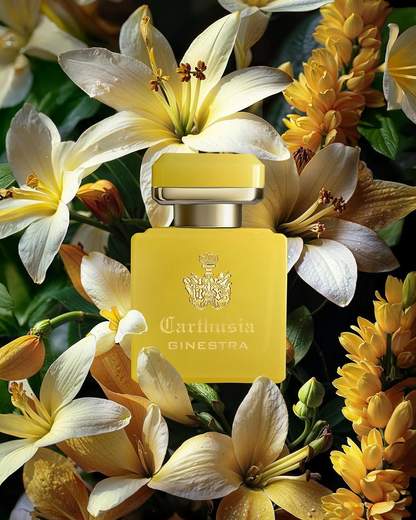 CARTHUSIA - I PROFUMI DI CAPRI NTS050GI