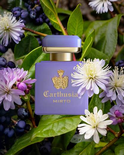 CARTHUSIA - I PROFUMI DI CAPRI NTS050MY