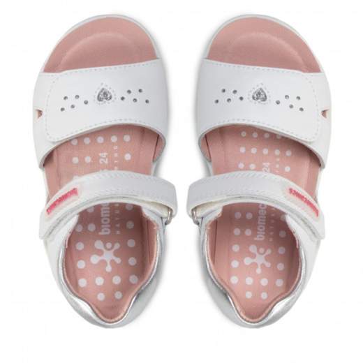 BIOMECANICS 222202-A