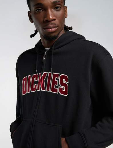 DICKIES AITKIN ZIP HOODIE UOMO