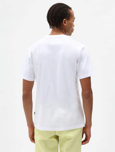 DICKIES MAPLETON SS TEE UOMO