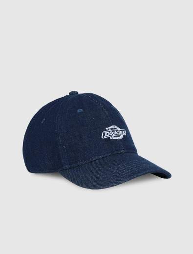 DICKIES DK0A867H