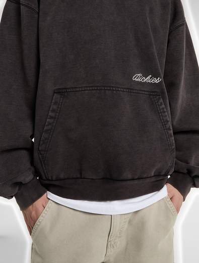 DICKIES DK0A89NS