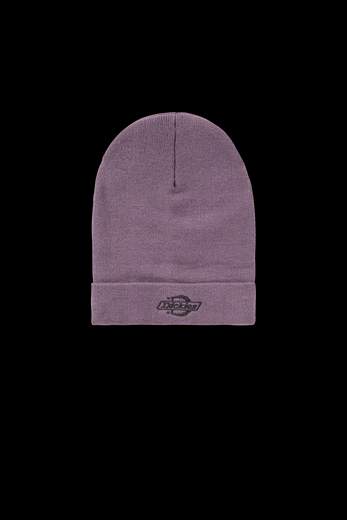 DICKIES DK0A87NG