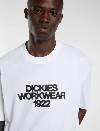 DICKIES DK0A8889
