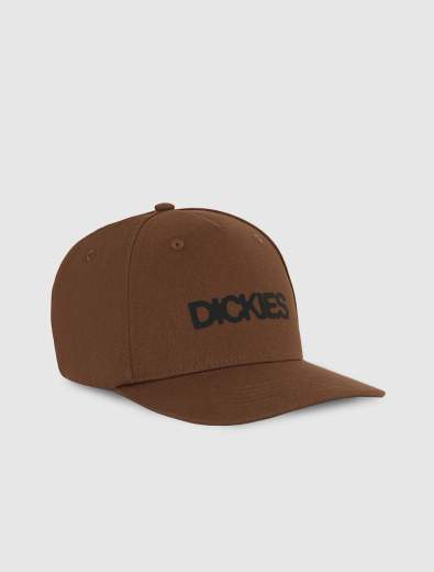 DICKIES DK0A88I9