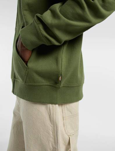 DICKIES DK0A885I