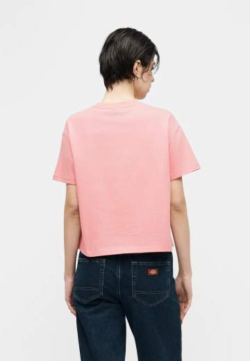 DICKIES OAKPORT BOXY SS TEE W DONNA