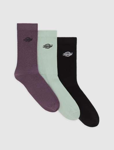 DICKIES DK0A88QJ