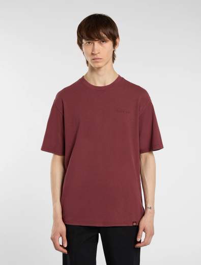 DICKIES PLENTYWOOD SS TEE UOMO