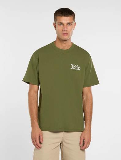 DICKIES DK0A88JV