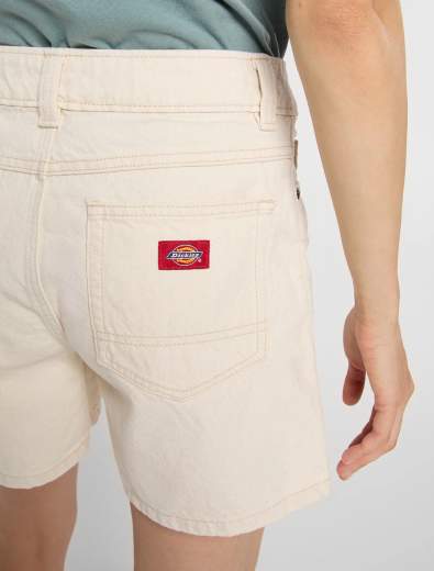 DICKIES DK0A88QV