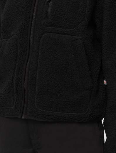 DICKIES DK0A4YGN