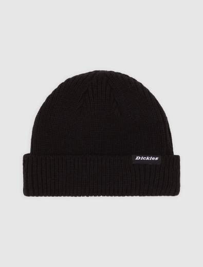 DICKIES DK0A4X7Y