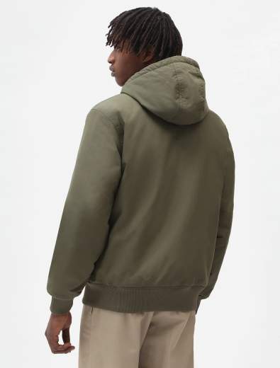 DICKIES DK0A4XG8